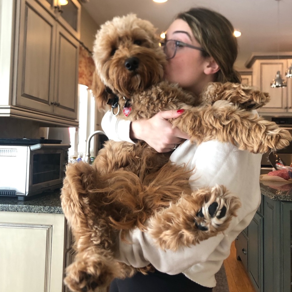 Meet your Posher, Grace